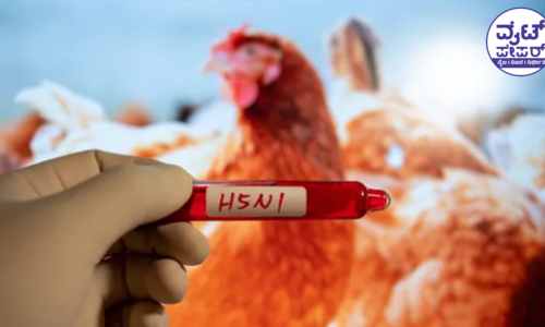 ದೇಶಕ್ಕೆ ಮತ್ತೇ H5N1 ಭೀತಿ: ಕೇರಳದಲ್ಲಿ ರೋಗಪತ್ತೆ