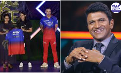 RCB ಸೋಲಿಗೆ ಅಶ್ವಿನಿ ಕಾರಣ:ದೂರು ದಾಖಲು