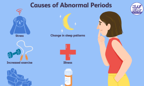 ಮುಟ್ಟಿನ ಸಮಯದಲ್ಲಿ ವಿದ್ಯಾರ್ಥಿನಿಯರಿಗೆ ರಜೆ ನೀಡಿದ ವಿವಿ