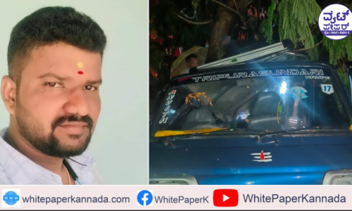 ಬಿರುಗಾಳಿ ಸಹಿತ ಮಳೆಯಿಂದ ಕಾರಿನ ಮೇಲೆ ಮರ ಬಿದ್ದು ಯುವಕ ಸಾವು