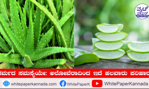 ಚರ್ಮದ ಸಮಸ್ಯೆಯೇ: ಅಲೋವೆರಾ ಬಳಸಿ