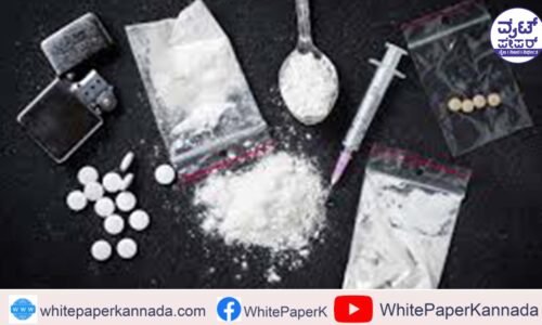 ರೇವ್ ಪಾರ್ಟಿಗೆ ಮೂವರು ಪೊಲೀಸರು ಸಸ್ಪೆಂಡ್ !