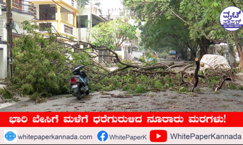 ಇಂದಿನಿಂದ ರಾಜ್ಯದ 16 ಕ್ಕೂ ಹೆಚ್ಚಿನ ಜಿಲ್ಲೆಗಳಲ್ಲಿ ಮುಂಗಾರು ಮಳೆ!