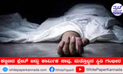 ಕಬ್ಬಿಣದ ಪ್ಲೇಟ್ ಬಿದ್ದು ಕಾರ್ಮಿಕ ಸಾವು, ಮತ್ತೊಬ್ಬನ ಸ್ಥಿತಿ ಗಂಭೀರ