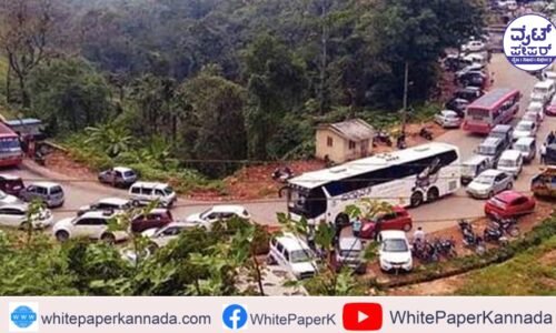 ಶಿರಾಡಿ ಘಾಟ್‌ನಲ್ಲಿ ಮರಬಿದ್ದು ಬೆಂಗಳೂರು-ಮಂಗಳೂರು ಹೆದ್ದಾರಿ ಬಂದ್
