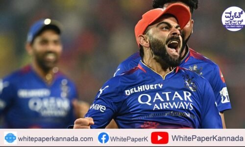 ನಿರ್ಣಾಯಕ ಪಂದ್ಯದಲ್ಲಿ ಗೆದ್ದು ಪ್ಲೇ ಆಪ್ ಪ್ರವೇಶಿಸಿದ ರಾಯಲ್ ಚಾಲೆಂಜರ್ಸ್ ಬೆಂಗಳೂರು