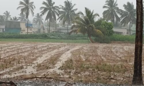 ಹೊಸಕೋಟೆಯಲ್ಲಿ ಭಾರಿ ಮಳೆ:ಸಿಡಿಲಿಗೆ ಮಹಿಳೆ ಬಲಿ