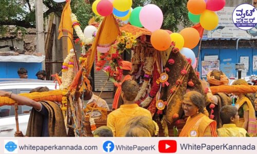 ಬೀರಲಿಂಗೇಶ್ವರ ದೇವಸ್ಥಾನದ 13ನೇ ವರ್ಷದ ಜಾತ್ರಾ ಮಹೋತ್ಸವ