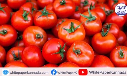 ತೈಲ ಬೆಲೆಯೇರಿಕೆ ಹಿನ್ನೆಲೆ: ಶತಕ‌ ದಾಟಿದ ಟೊಮ್ಯಾಟೊ ಬೆಲೆ!
