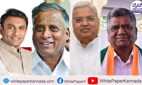 ರಾಜಕೀಯ ಮರುಜನ್ಮ ನೀಡಿದ ಚುನಾವಣೆ