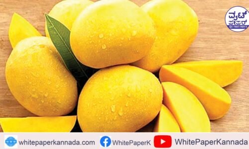 ಹೆಚ್ಚು ಮಾವಿನ ಹಣ್ಣು ತಿಂತೀರಾ? ಆಗಿದ್ರೆ ಇದನ್ನು ಓದಿ!