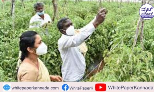 ಪವತಿ ಖಾತೆ : ಅಗತ್ಯ ದಾಖಲೆಗಳನ್ನು ಸಲ್ಲಿಸಲು ಮನವಿ