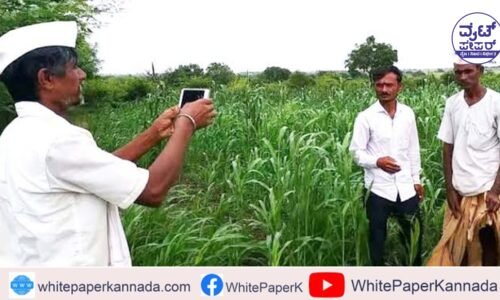 ಜೂ.24 ರಿಂದ ಬೆಳೆ ಸಮೀಕ್ಷೆ, ಬೆಳೆ ವಿಮೆ ನೋಂದಣಿ