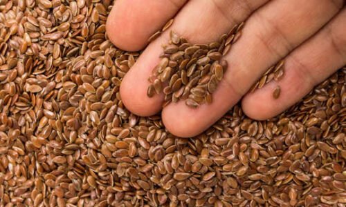 ಚಪಾತಿಯಲ್ಲಿ ಈ ಬೀಜಗಳನ್ನ ಸೇರಿಸಿ ತಿಂದ್ರೆ ಸಾಕು!!! ಕೊಲೆಸ್ಟ್ರಾಲ್ ಕಮ್ಮಿಯಾಗುತ್ತದೆ.