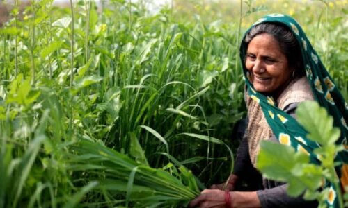 ರೈತರ 14 ಬೆಳೆಗಳಿಗೆ ಬೆಂಬಲ ಬೆಲೆ ನೀಡಲು ಕೇಂದ್ರಸರ್ಕಾರ ನಿರ್ಧಾರ