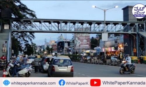 ಪಾದಚಾರಿಗಳಿಗೆ ಬಳಕೆಯಾಗದೆ ತುಕ್ಕು ಹಿಡಿದ ಸ್ಕೈ ವಾಕ್