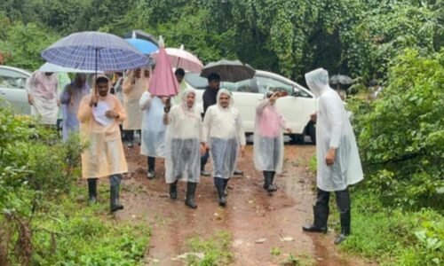 ಕೇಂದ್ರ ಪ್ರವಾಹ ಪರಿಶೀಲನೆ ತಂಡಕ್ಕೆ ಜಿಗಣೆ ಕಾಟ !