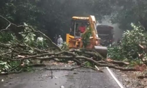 ತೀರ್ಥಹಳ್ಳಿ-ಕುಂದಾಪುರ ರಸ್ತೆಗೆ ಉರುಳಿ ಬಿದ್ದ ಮರ-ಕೆಲಕಾಲ ವಾಹನ ಸವಾರರು ಹೈರಾಣು