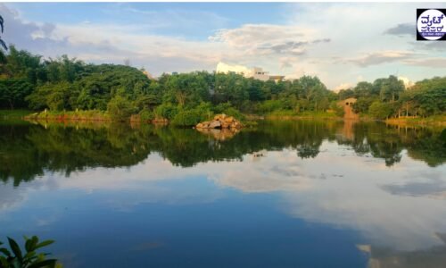 ಬೆಂಗಳೂರಿನ 205 ಕೆರೆಗಳ ನಿರ್ವಹಣೆಯ ಹೊಣೆ ಖಾಸಗಿ ಸಂಸ್ಥೆಗಳ ಪಾಲು !