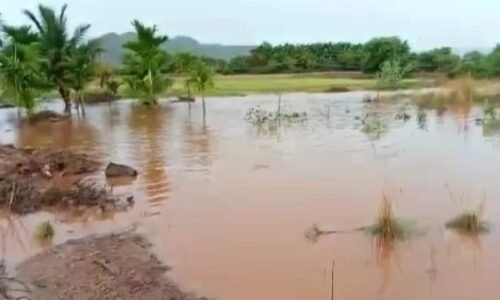 ಹೊಳಲ್ಕೆರೆ: ಭಾರಿ ಮಳೆಯಿಂದ ಬೆಳೆ ನಷ್ಟ, ಮನೆ ಕುಸಿದು ಓರ್ವ ಸಾವು!