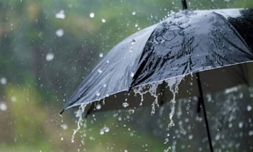 ಚಿತ್ರದುರ್ಗ ಜಿಲ್ಲೆಯಲ್ಲಿ ಶುಕ್ರವಾರ 21.9 ಮಿ.ಮೀ ಮಳೆ, 44 ಮನೆಗಳಿಗೆ ಹಾನಿ