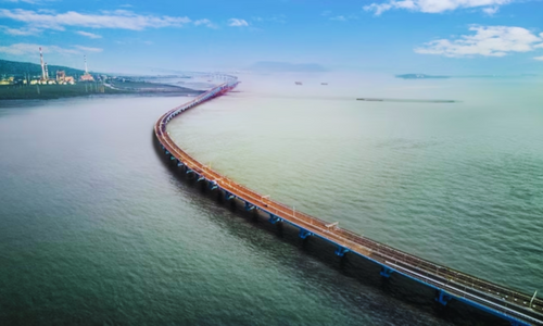 ಆತ್ಮಹತ್ಯೆಯ ಹಾದಿಯಾಗುತ್ತಿದೆ ಅಟಲ್ ಸೇತುವೆ: ಸುರಕ್ಷಾ ಕ್ರಮಕ್ಕೆ ಸ್ಥಳಿಯರು, ಹೋರಾಟಗಾರರ ಆಗ್ರಹ