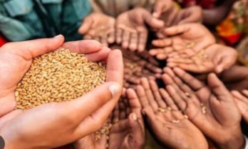 ಆಹಾರ ಭದ್ರತೆ, ಕೃಷಿ ಉತ್ತೇಜನಕ್ಕಾಗಿ 13,600 ಕೋಟಿ ರೂ : ಕೇಂದ್ರ ಸಂಪುಟ ಅಸ್ತು