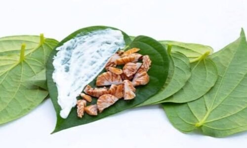 ಬಾಯಿಯಲ್ಲಿ ಹುಣ್ಣಾಗಿದ್ಯ? ಹಾಗಿದ್ರೆ ವೀಳ್ಯದೆಲೆ ಜೊತೆ ಇವುಗಳನ್ನು ಜಗಿಯಿರಿ!