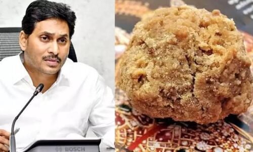 ತಿರುಪತಿ ಲಡ್ಡು ವಿವಾದ: ಪ್ರಧಾನಿಗೆ ಪತ್ರ ಬರೆದ ಮಾಜಿ ಸಿಎಂ ಜಗನ್