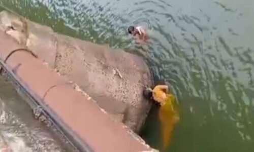 ಆತ್ಮಹತ್ಯೆಗೆ ಯತ್ನಿಸಿದ ಮಹಿಳೆ;ಯುವಕನ ಸಾಹಸದಿಂದ ಮಹಿಳೆಯ ರಕ್ಷಣೆ