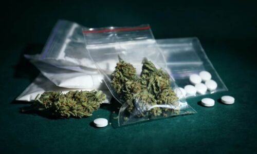 ಡ್ರಗ್ಸ್ ಜಾಲದ ಮೇಲೆ ಪೊಲೀಸರ ದಾಳಿ: 5.15 ಕೋಟಿ ಮೌಲ್ಯದ ಡ್ರಗ್ಸ್ ವಶ