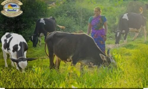 ನಾಳೆ ಹೆಬ್ಬಾಳದಲ್ಲಿ ಮೇವು ಮೇಳ