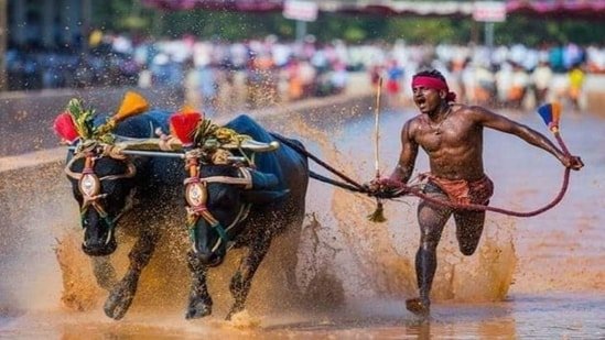 ಕರಾವಳಿಯ ಕಂಬಳಕ್ಕೆ 5 ಲಕ್ಷ ರೂ. ನೀಡಲು ಆದೇಶ
