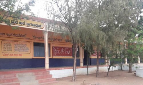 ಕಿಡಿಗೇಡಿಗಳಿಂದ ಶಾಲೆಯ ಆವರಣದಲ್ಲಿದ್ದ ಮರಗಳ ಮಾರಣಹೋಮ