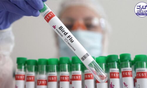 ವ್ಯಾಪಕವಾಗುತ್ತಿದೆ ಹಕ್ಕಿಜ್ವರ : ದೇಶಕ್ಕೆ ಮತ್ತೊಂದು ವೈರಸ್ ಭೀತಿ !