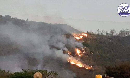 ಚಾಮುಂಡಿ ಬೆಟ್ಟದಲ್ಲಿ ಕಾಡ್ಗಿಚ್ಚು : ಬೆಂಕಿ ನಂದಿಸಲು ಹರಸಾಹಸ