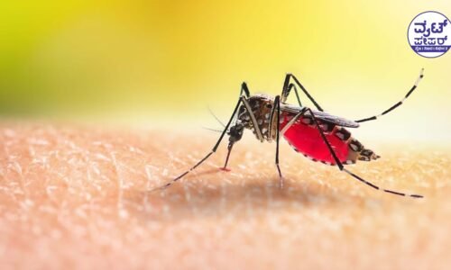 ಸೊಳ್ಳೆ ಸೃಷ್ಟಿಸುವ ಕೊಳಕು ಪರಿಸರ ಹೊಂದಿದ್ದರೆ ಹುಷಾರ್ : ನಿಮಗೆ ಬೀಳಲಿದೆ ಭಾರಿ ದಂಡ !