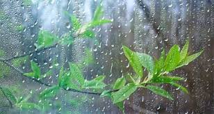 Thunderstorms in these districts from April 13!