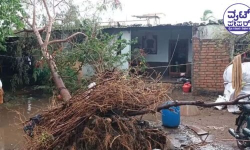 ಬೀದರ್:ವಿವಿಧೆಡೆ ಬಿರುಗಾಳಿ ಸಹಿತ ಮಳೆ