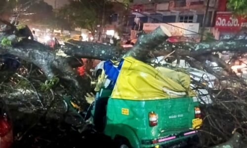 ಬೆಂಗಳೂರಿನಲ್ಲಿ ಭಾರಿ ಮಳೆ : ಆಟೋ ಮೇಲೆ ಮರ ಉರುಳಿ ಚಾಲಕ ಸಾವು