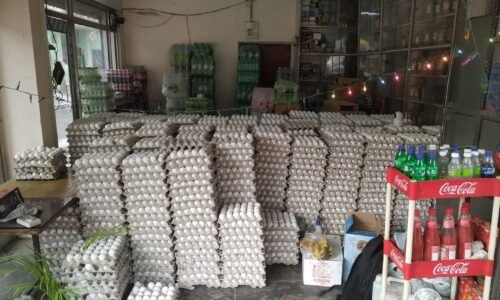 ಮೊಟ್ಟೆ ಪ್ರಿಯರ ಮುಖದಲ್ಲಿ ಮಂದಹಾಸ: ಮೊಟ್ಟೆಯಲ್ಲಿ ಕಾನ್ಸರ್ ಕಾರಕ ಅಂಶ ವದಂತಿ ಸುಳ್ಳು ಎಂದ ಎಫ್‌ಎಸ್‌ಎಸ್‌ಎಐ