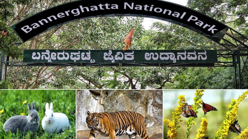 ಗಣಿಗಾರಿಕೆ–ರಿಯಲ್ ಎಸ್ಟೇಟ್ ಒತ್ತಡದ ಆರೋಪ: ಬನ್ನೇರುಘಟ್ಟ ಉದ್ಯಾನ ಪರಿಶೀಲನೆಗೆ ಸುಪ್ರೀಂ ಕೋರ್ಟ್ ನೇಮಿತ ಸಮಿತಿ