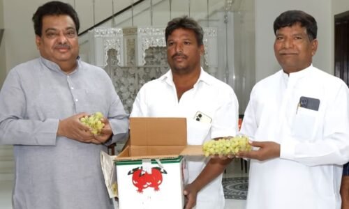 ಎತ್ತರ ಪ್ರದೇಶದಲ್ಲಿ ದ್ರಾಕ್ಷಿ ಬೆಳೆದು ಲಕ್ಷಾಂತರ ಆದಾಯದ ಗುರಿ; ವಿಜಯಪುರ ರೈತನಿಗೆ ಸಚಿವರಿಂದ ಮೆಚ್ಚುಗೆ