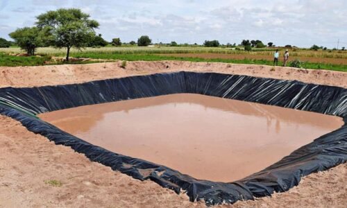 ಯಾದಗಿರಿ: ಕೃಷಿಹೊಂಡದಲ್ಲಿ ಮುಳುಗಿ ನಾಲ್ವರು ಮಕ್ಕಳು ಸಾವು