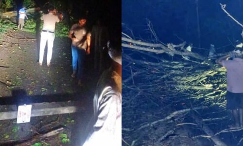 ಭಾರೀ ಗಾಳಿ ಮಳೆಗೆ ರಸ್ತೆಗೆ ಬಿದ್ದ ವಿದ್ಯುತ್ ಕಂಬಗಳು