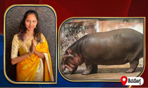 ಶಿವಮೊಗ್ಗ ಮೃಗಾಲಯದಲ್ಲಿ ಪಶುವೈದ್ಯರ ಸಾವಿಗೆ ಕಾರಣವಾಗಿದ್ದ ಹಿಪಪಾಟಮಸ್ ಹಂಸಿನಿ ಅನಾರೋಗ್ಯದಿಂದ ಸಾವನ್ನಪ್ಪಿದೆ.