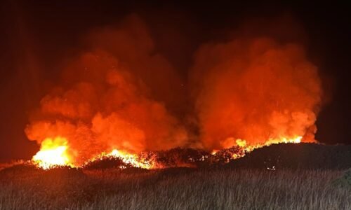 ಬಳ್ಳಾರಿ: ವಿದ್ಯುತ್​ ಶಾರ್ಟ್​ ಸರ್ಕ್ಯೂಟ್​- 25 ಕ್ಕೂ ಹೆಚ್ಚು ಹುಲ್ಲಿನ ಬಣವೆ ಭಸ್ಮ