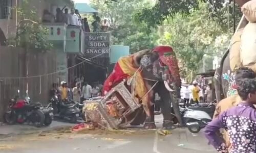 ಶಿವಮೊಗ್ಗ ದಸರಾ ಆನೆ ಅವಘಡದ ಬೆನ್ನಲ್ಲೇ ಎಚ್ಚೆತ್ತ ಸರ್ಕಾರ :ಮುಂದಿನ ಜಂಬೂಸವಾರಿಗೂ ಮುನ್ನ ಆನೆಗಳಿಗೆ 20ರಿಂದ 30 ದಿನ ಕಡ್ಡಾಯ ತಾಲೀಮು ಸಚಿವ ರಾಮಲಿಂಗ ರೆಡ್ಡಿ ಸೂಚನೆ